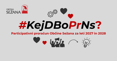 Ikona za spletno stran - participativni proračun 